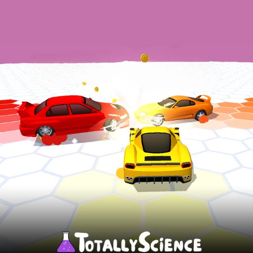 Survival Race
